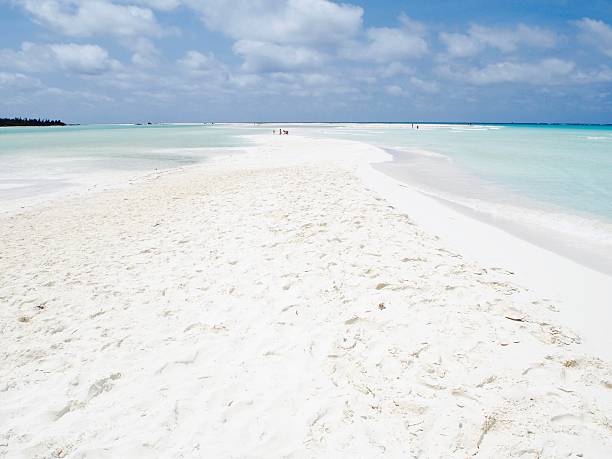 istock Paradise beach in Cayo Largo 531423598