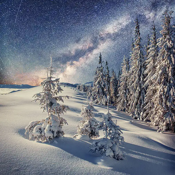 Photo of Dairy Star Trek in the winter woods. Carpathians, Ukraine, Europe
