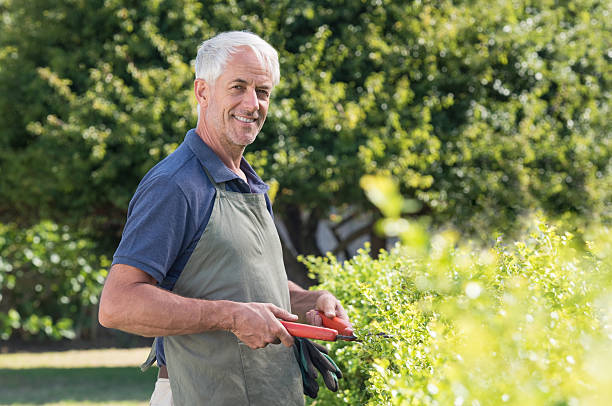 hombre jubilado haciendo jardinería - planting clothing gray hair human age fotografías e imágenes de stock