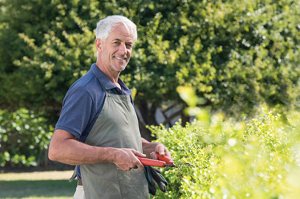 istock Retired man gardening 531424322