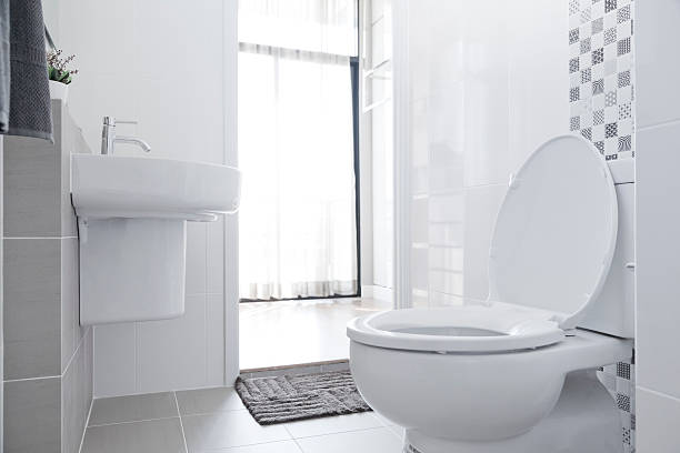 istock White toilet in home 531424804