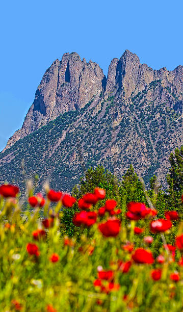 istock Red View of Mountain 531424812