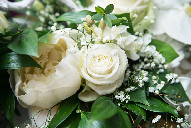 istock White roses, decoration in restaurant. Indoor 531424880