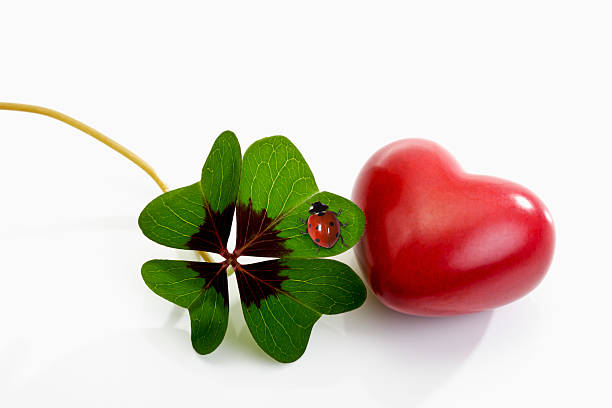 Four leaved clover, red heart and ladybird
