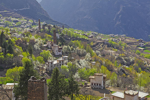 istock village with pear flower 531430281