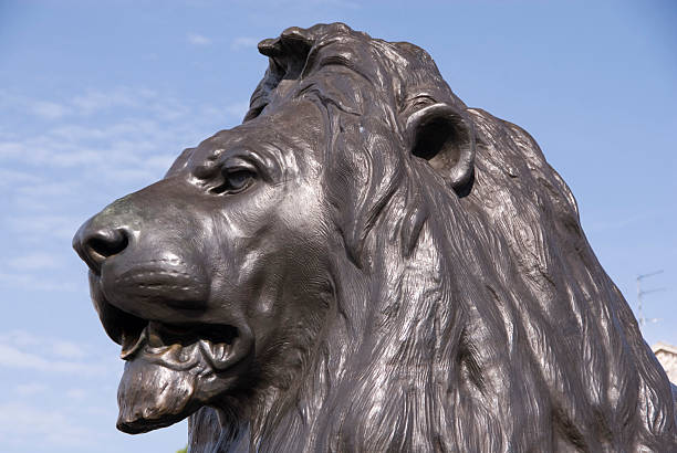 istock Lion, Trafalgar Square, London 531431207
