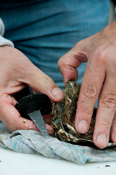 istock Opening an Oyster with hands and knife. 531431871