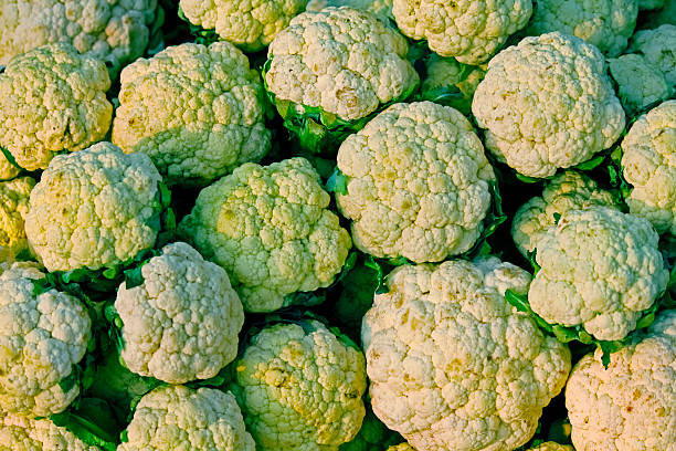 istock Cauliflower, Brassica oleracea var. botrytis 531432637
