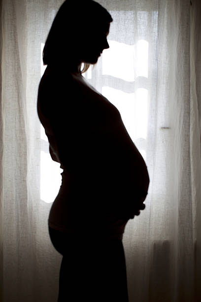 istock Pregnant woman stands before a sunny window. 531439903