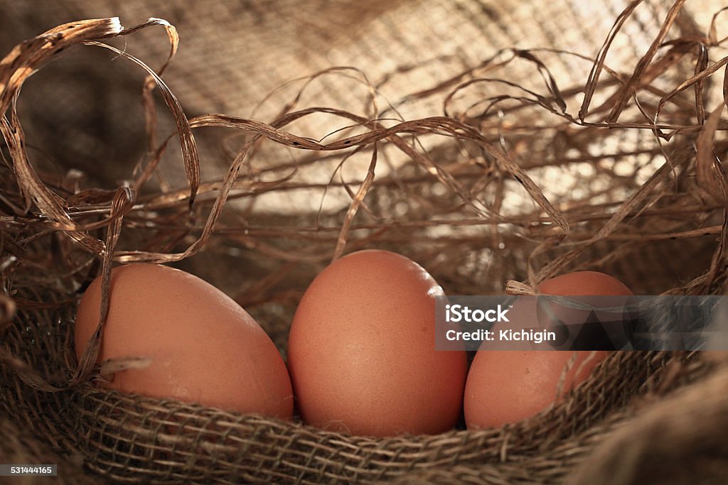 chicken eggs on the farm 2015 Stock Photo