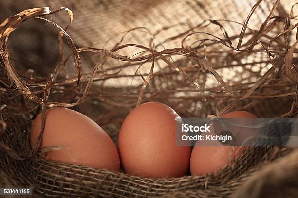 Chicken Eggs On The Farm Stock Photo - Download Image Now - 2015, Agriculture, Animal