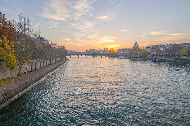 istock Seine river and Old Town of Paris (France) 531445467