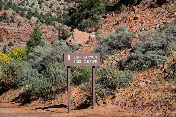 istock Zion Canyon Scenic Drive Sign 531447229