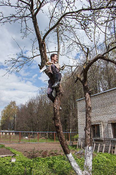 istock man sits on a tree and sawing the branch 531456484