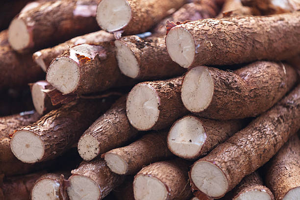 Manioc Stack of  mandioca stock pictures, royalty-free photos & images