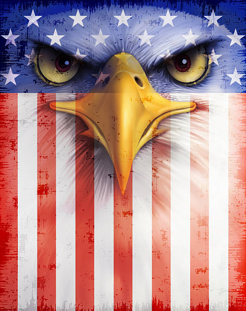 illustrazioni stock, clip art, cartoni animati e icone di tendenza di bandiera usa con aquila di mare testabianca - north america bald eagle portrait vertical