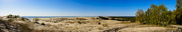 istock Panorama of sandy dunes and blue sky in the spring 531460064