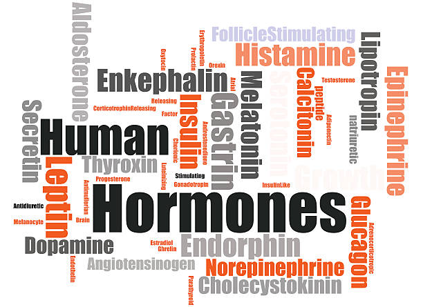 Human hormones HUman hormones word cloud erythropoietin stock pictures, royalty-free photos & images