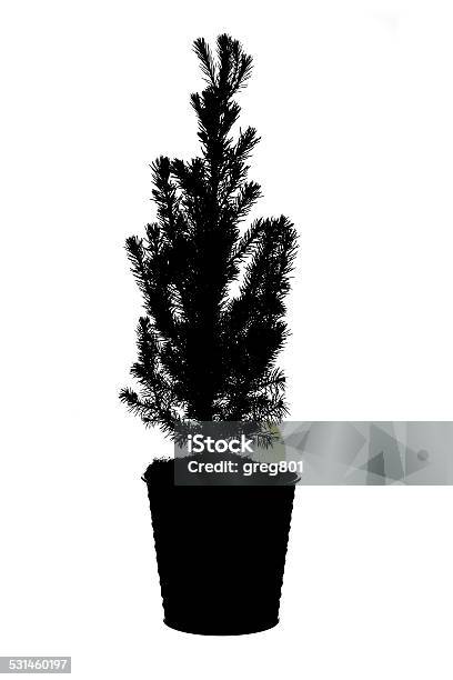 Pine Tree Branch Silhouette Xxxl Stock Photo - Download Image Now - 2015, Black Color, Branch - Plant Part