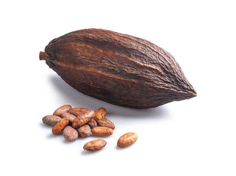 Organic cocoa beans, the basis of chocolate, and the cocoa pod they come from.  Isolated on white, with shadow.