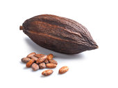Cocoa Beans and Cocoa Pod