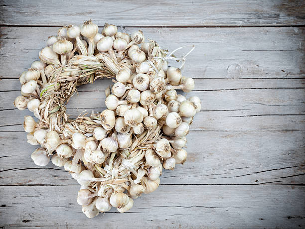 ло чеснок bound вместе - garlic hanging string vegetable стоковые фото и изображения