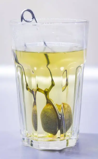 Green tea with tea infuser in a transparent cup. 