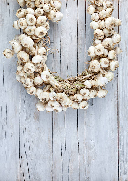 juntos alot de ajo bound - garlic hanging string vegetable fotografías e imágenes de stock