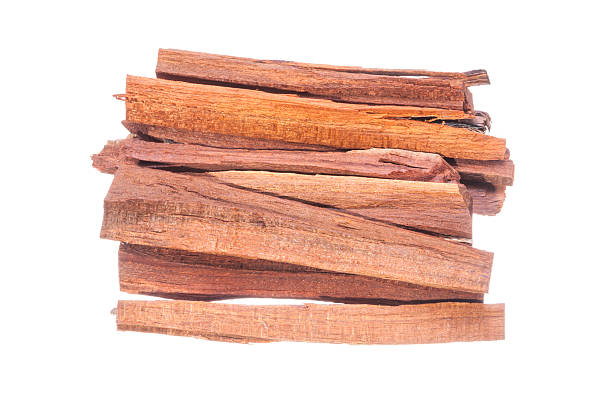 istock Mexican logwood for use as tea 531465145