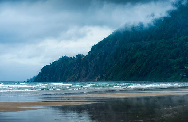 istock Storm Clouds at Neakikani Beach 531465987
