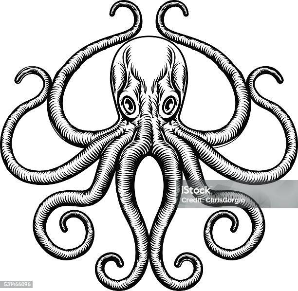 Octopus Or Squid Illustration Stock Illustration - Download Image Now - Octopus, Woodcut, Black And White