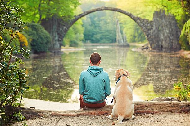 mann mit hund - woods reflection famous place standing water stock-fotos und bilder