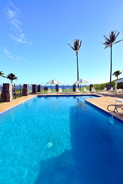 maui oceanfront hotel, swimmingpool - kihei kaanapali lahaina coconut palm tree stock-fotos und bilder