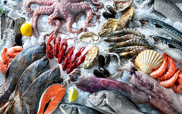 pescados y mariscos en el hielo - catch of fish gilt head bream variation fish fotografías e imágenes de stock