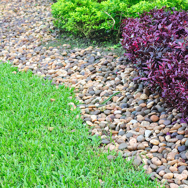 istock Beautiful landscaped yard and garden 531467179