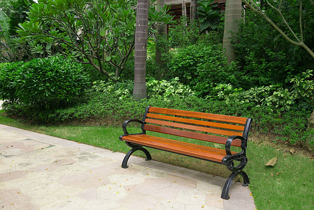 istock chair in a park in outdoor 531467276