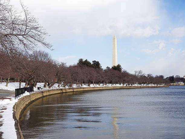 Winter Comes to the Tidal Basin stock photo