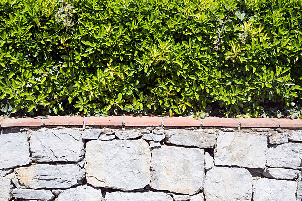 Stone wall vertical