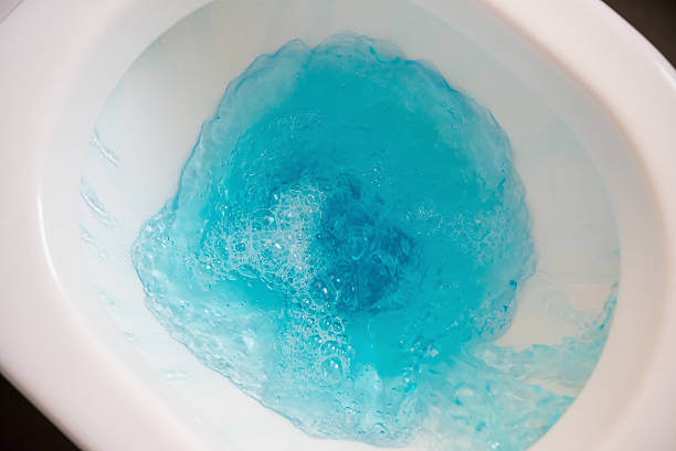flushing a closestool with blue water stock photo