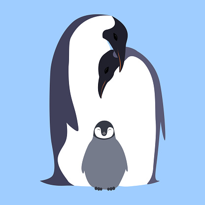 Vector flat illustration Penguin family. Love. Family of birds.