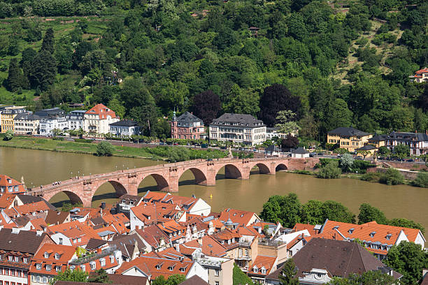 istock Karl Theodor Bridge in Heidelberg 531470668