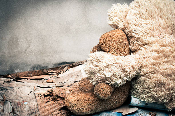 istock Old teddy bear abandoned piles of paper 531471026