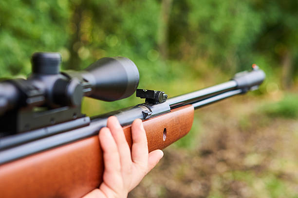 istock Gunpoint on air rifle 531472104