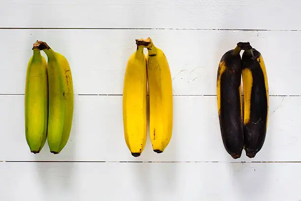 Photo of Green, yellow and black bananas.