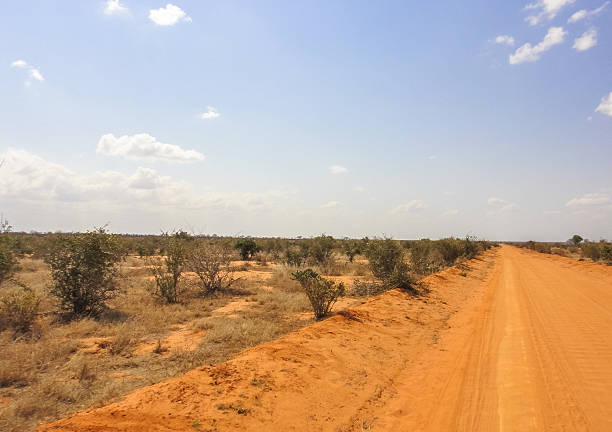 istock The road through african savanna. Kenya. Eastern Africa 531475582