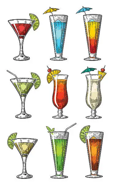 Vector illustration of Alcohol cocktail set margarita, sex on the beach, pina colada