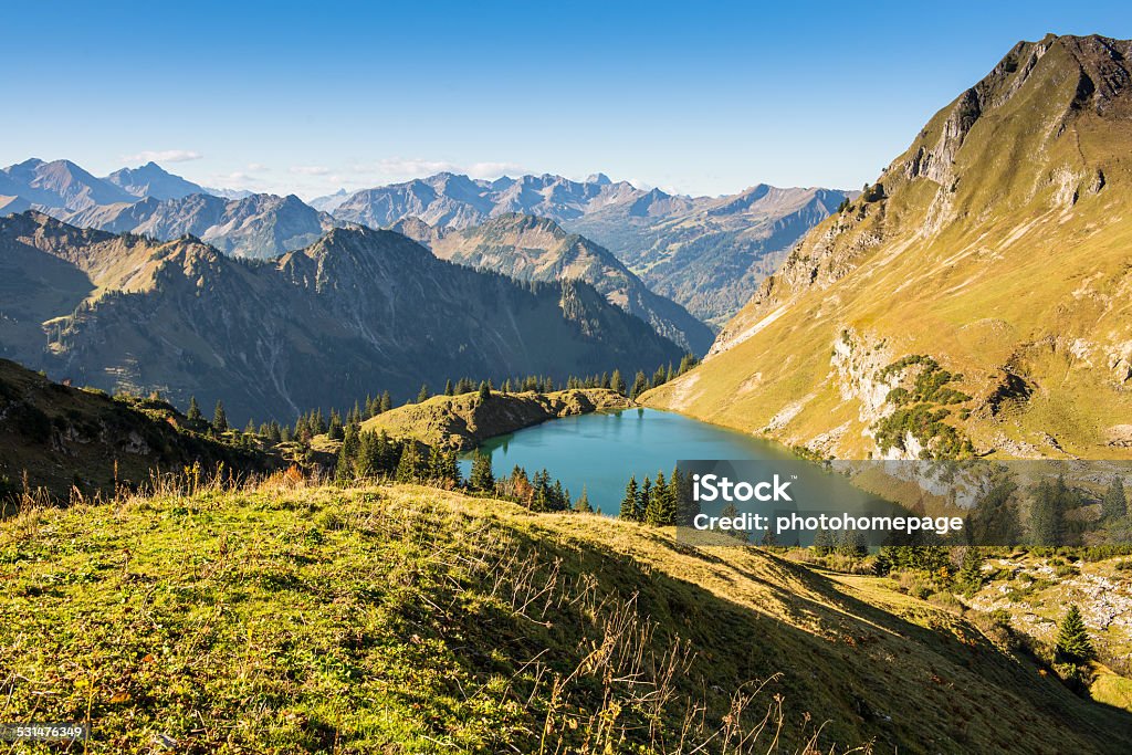 Phong Cảnh Đức Với Núi Non Và Hồ Nước Hình ảnh Sẵn có - Tải xuống Hình ảnh  Ngay bây giờ - Allgäu, Anpơ, Bayern - Đức - iStock