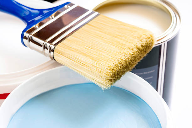 istock brush and paint in banks on a white background 531476458