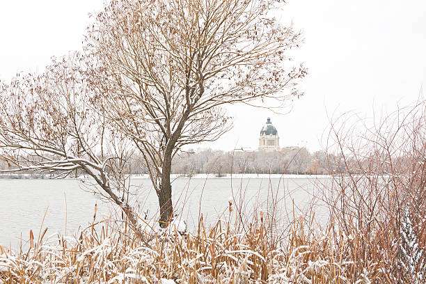 здание законодательного собрания саскачевана и озеро васкана в зимний - wascana lake стоковые фото и изображения