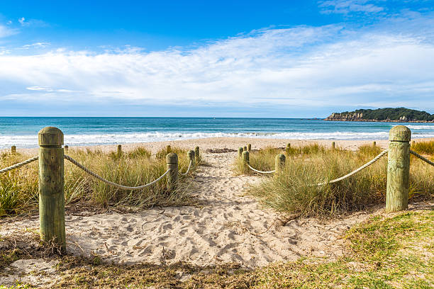 Entrance to the beach in sunny day The sandy beach in Maunganui, Bay of Planty, New Zealand mount maunganui stock pictures, royalty-free photos & images